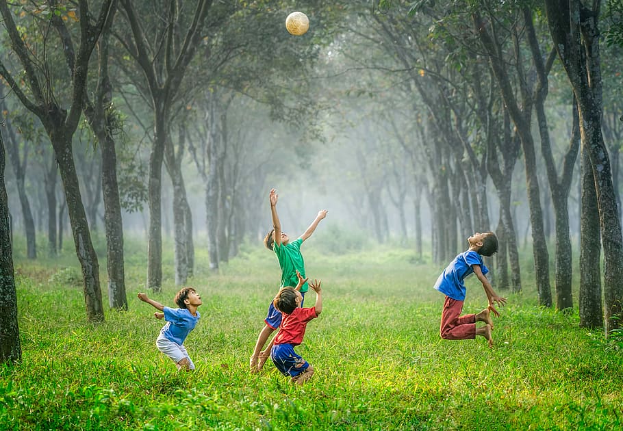 four boy playing ball on green grass, four children playing during daytime, HD wallpaper
