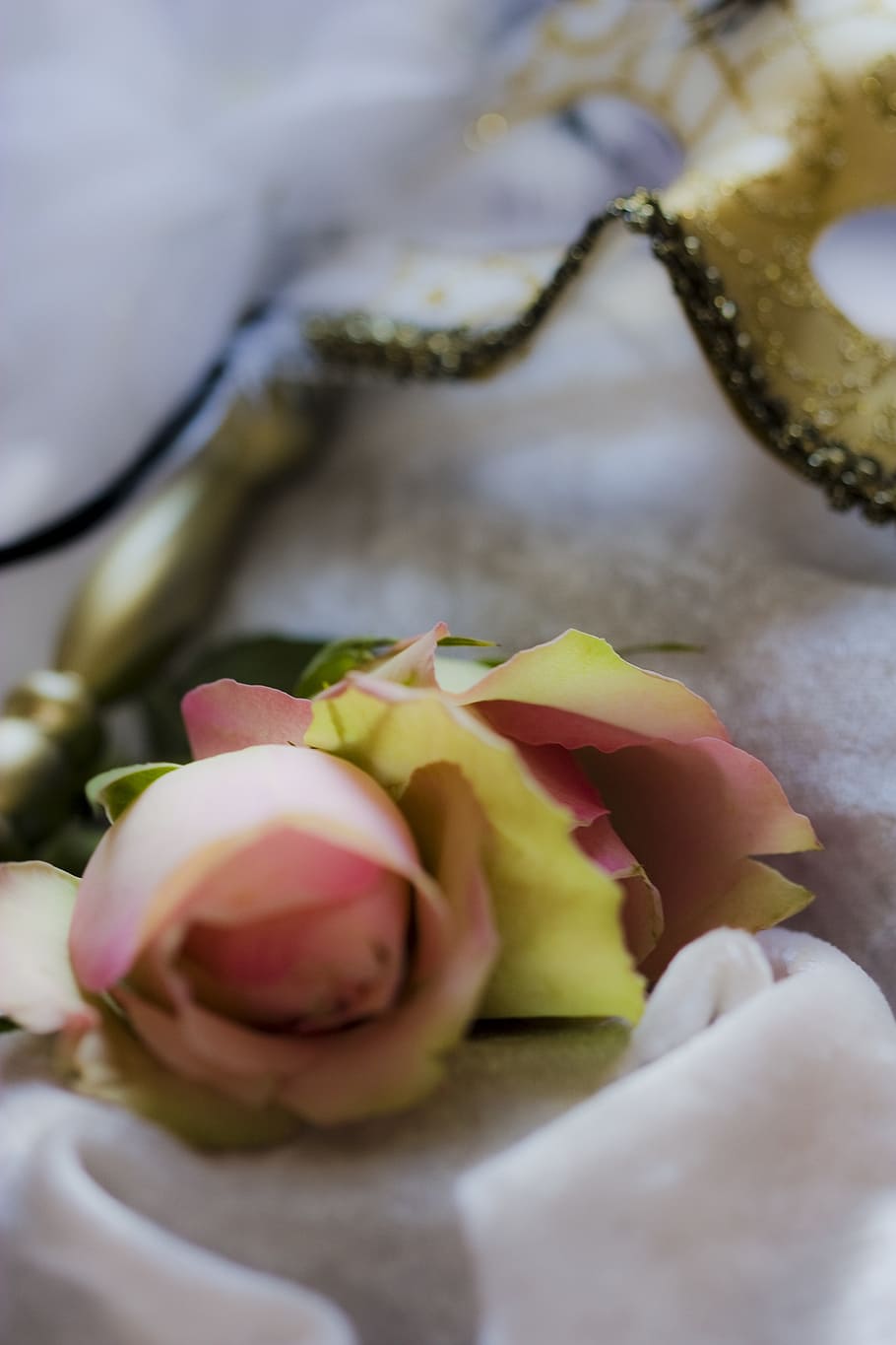 romance, romantic, pink, roses, blossom, bloom, flower, rest HD wallpaper