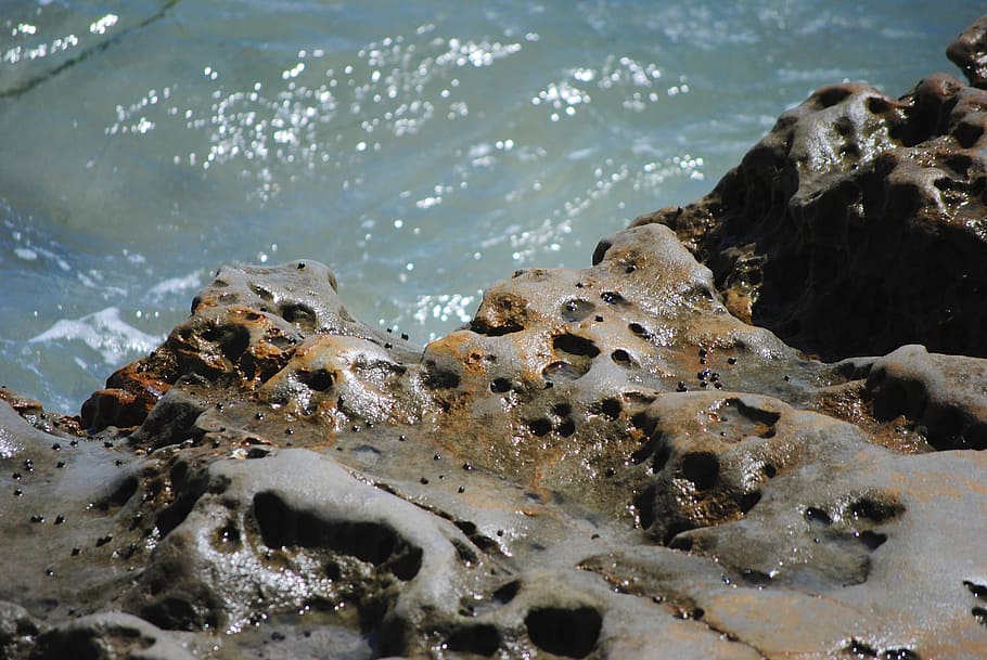 rocks, ocean, water, pacific, summer, coast, sea, solid, no people HD wallpaper