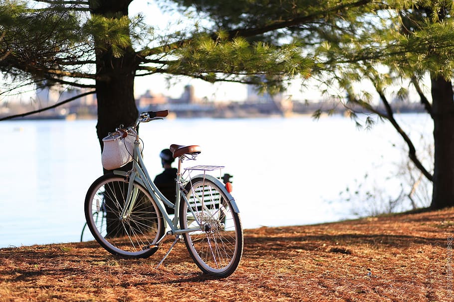 bicycle near tree, photo of teal step-through frame bike, Canadian HD wallpaper