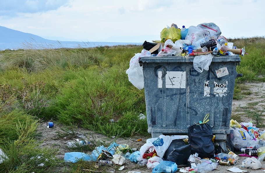 Blue Bag Plastic Garbage On Grass Sky Background Bin Bag Garbage