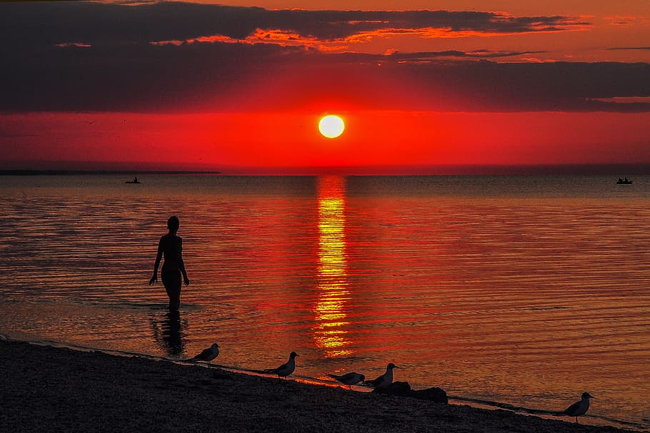 bather, sunset, boats, evening, sea, gulls, sky, water, orange color HD wallpaper