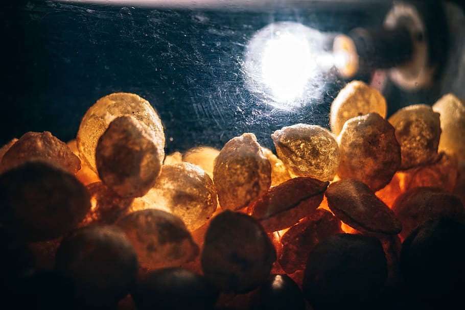 Street Snack, macro shot of nuts, charcoal, burning, embers, fire HD wallpaper