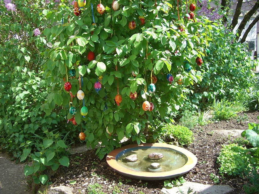easter bush, egg, colorful, easter eggs, green, bird bath, plant HD wallpaper