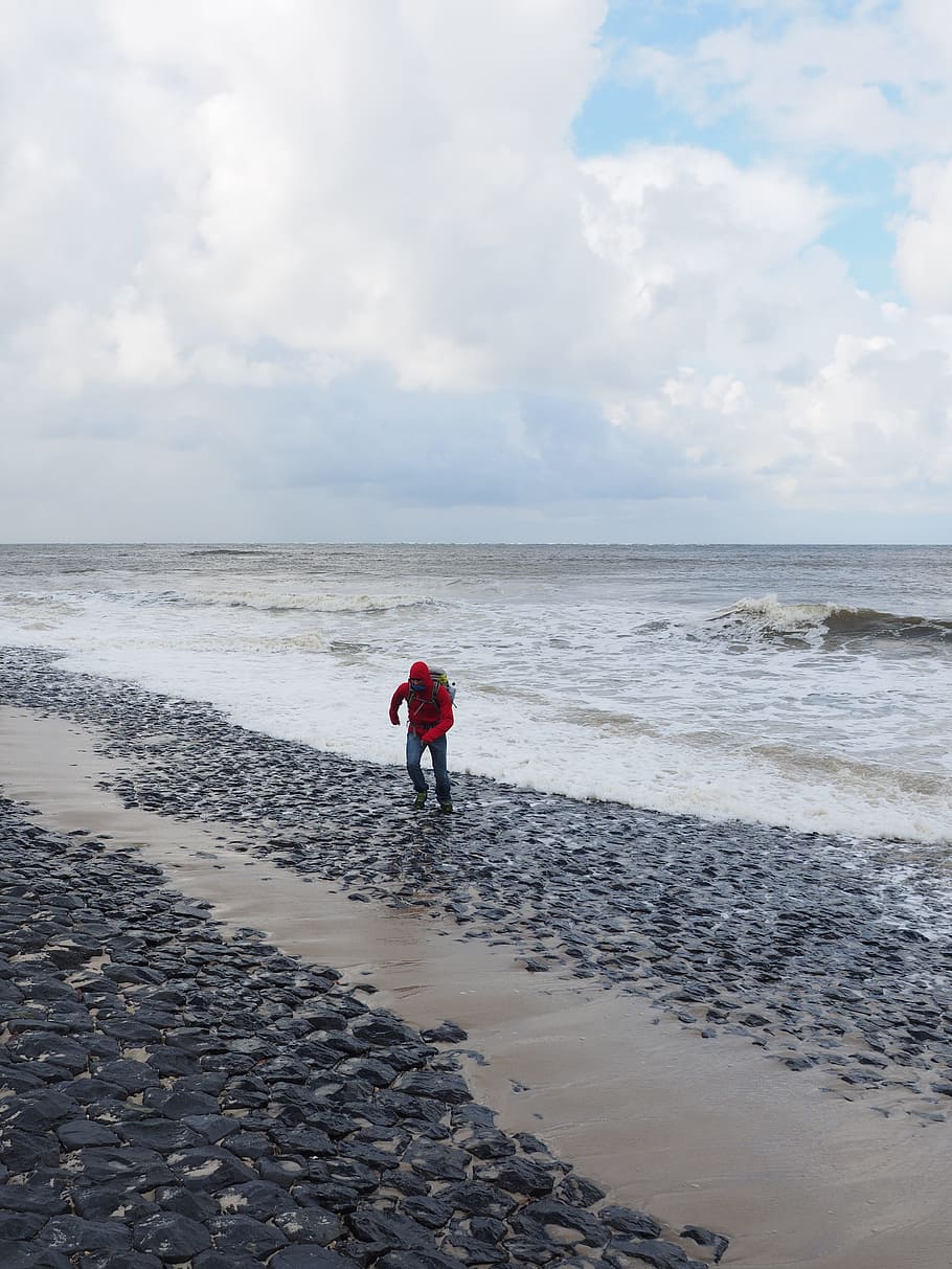 beach, sea, wave, wind, forward, coast, sand beach, north sea HD wallpaper