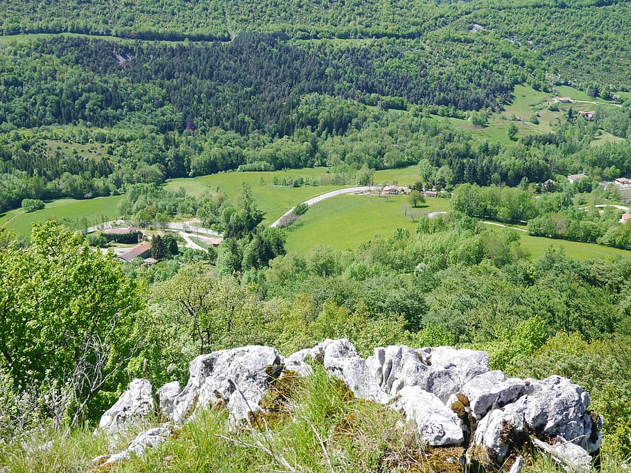 mountain, landscape, tree, summer, nature, vercors, plant, green color HD wallpaper