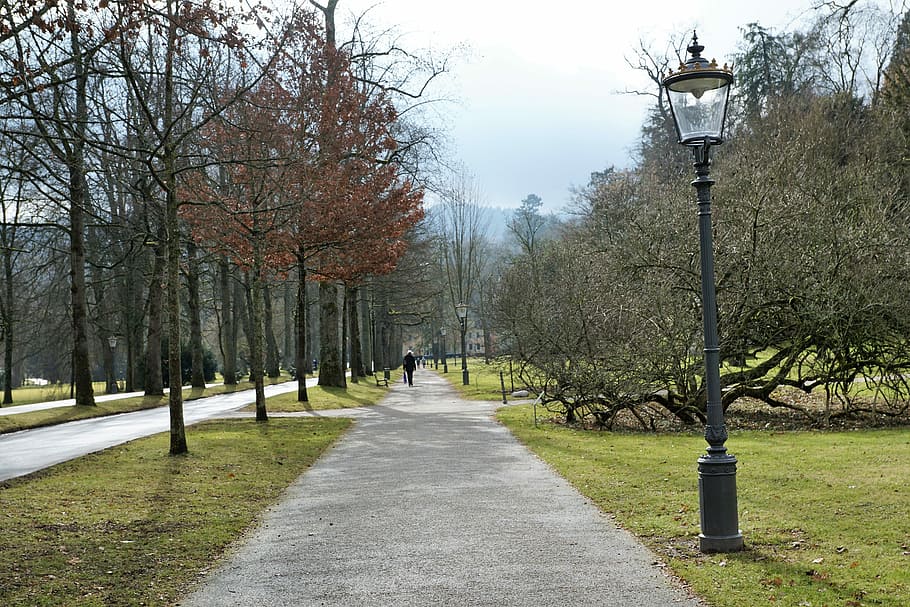 Baden Baden, Nature, park, tree, outdoors, footpath, park - Man Made Space HD wallpaper