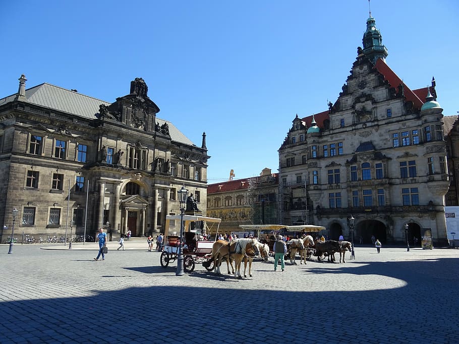 dresden, statue, germany, elbe, staudegarten, zwinger, frauenkirche HD wallpaper