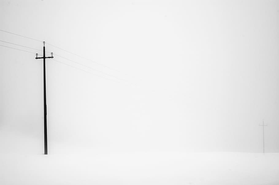 black utility post in snowfield, fog, tree, nature, branch HD wallpaper
