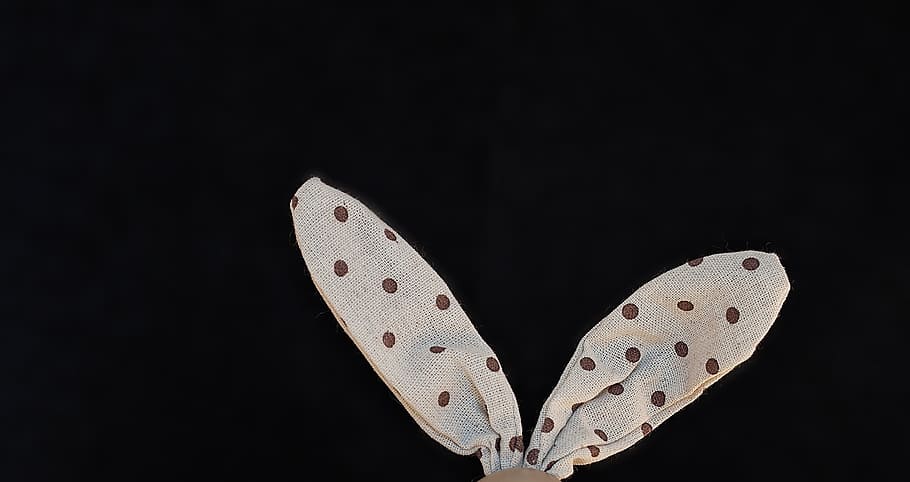 rabbit ears, deco, points, dekohasenohren, close, animal wing HD wallpaper