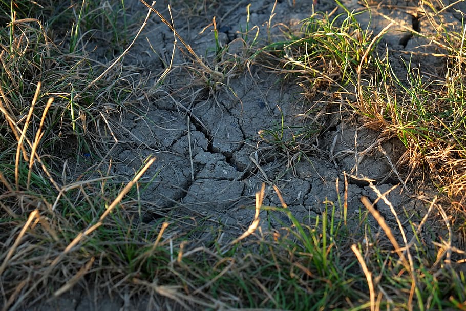 Ground, Cracks, Drought, Nature, sandy, dry, structure, pattern HD wallpaper