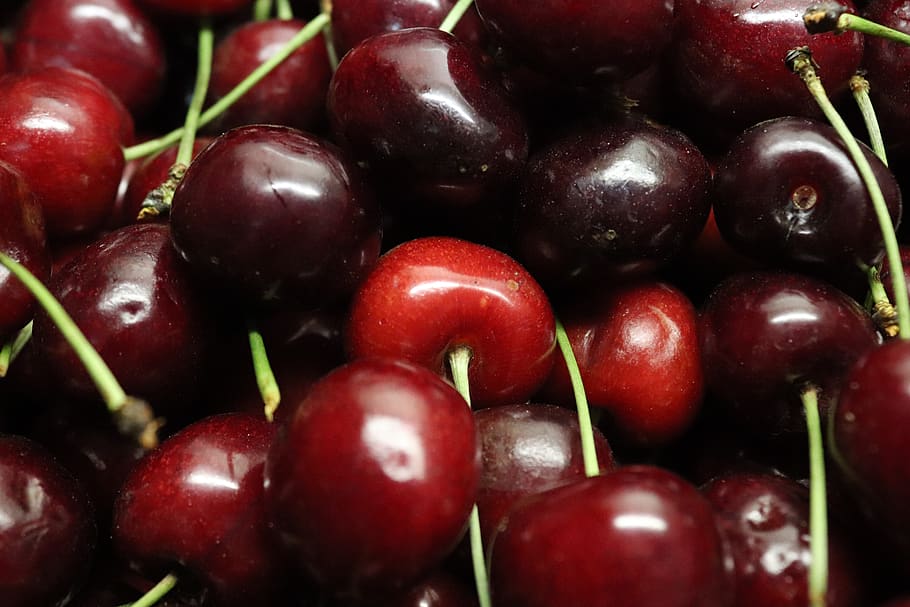 cherries, cherry, red, fruit, food and drink, healthy eating HD wallpaper