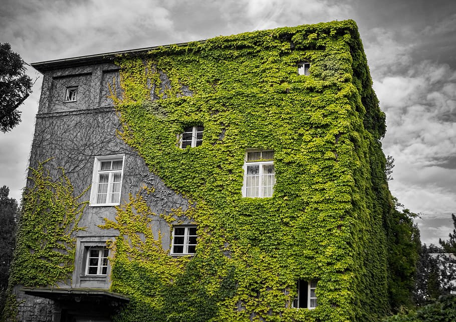 home, dramatic, spot color, building exterior, architecture HD wallpaper