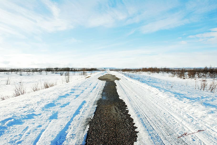 winter, snow, cold, white, nature, frost, outdoors, ice, landscape HD wallpaper