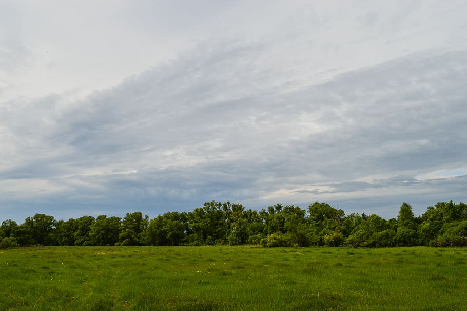 field, meadow, nature, summer, clouds, fields, russia, grass HD wallpaper