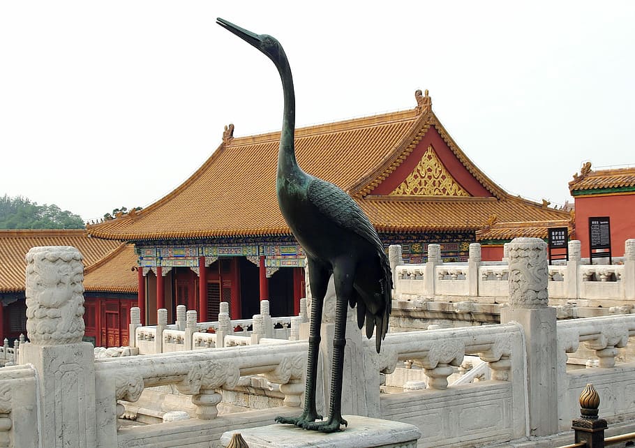 China, Pekin, Beijing, Forbidden City, crane, decoration, marble, HD wallpaper