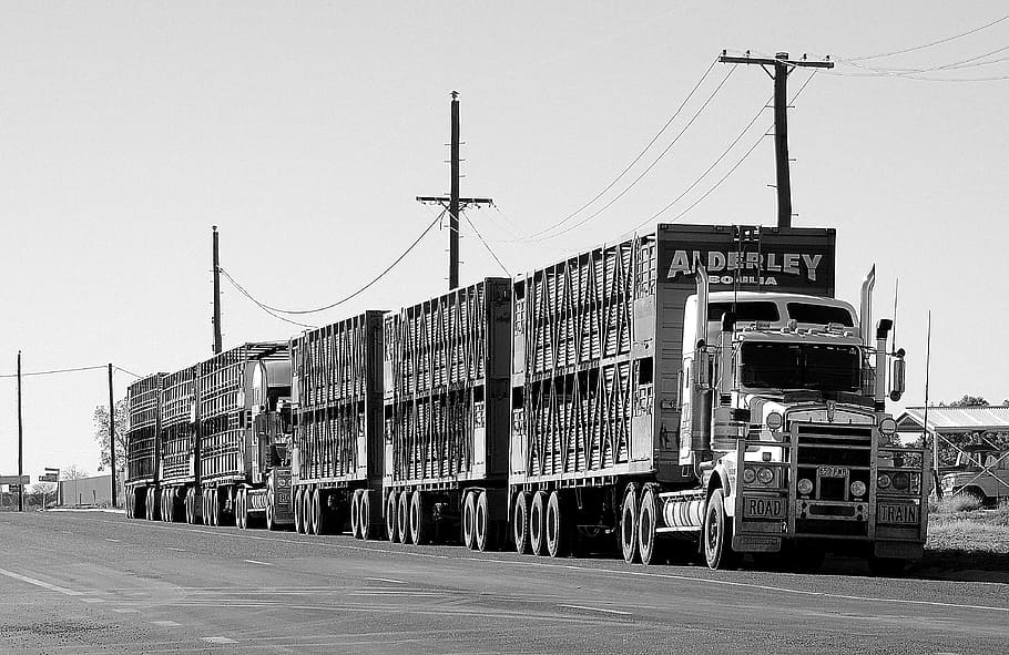 gray scale photography of semi-truck on road, road train, transport