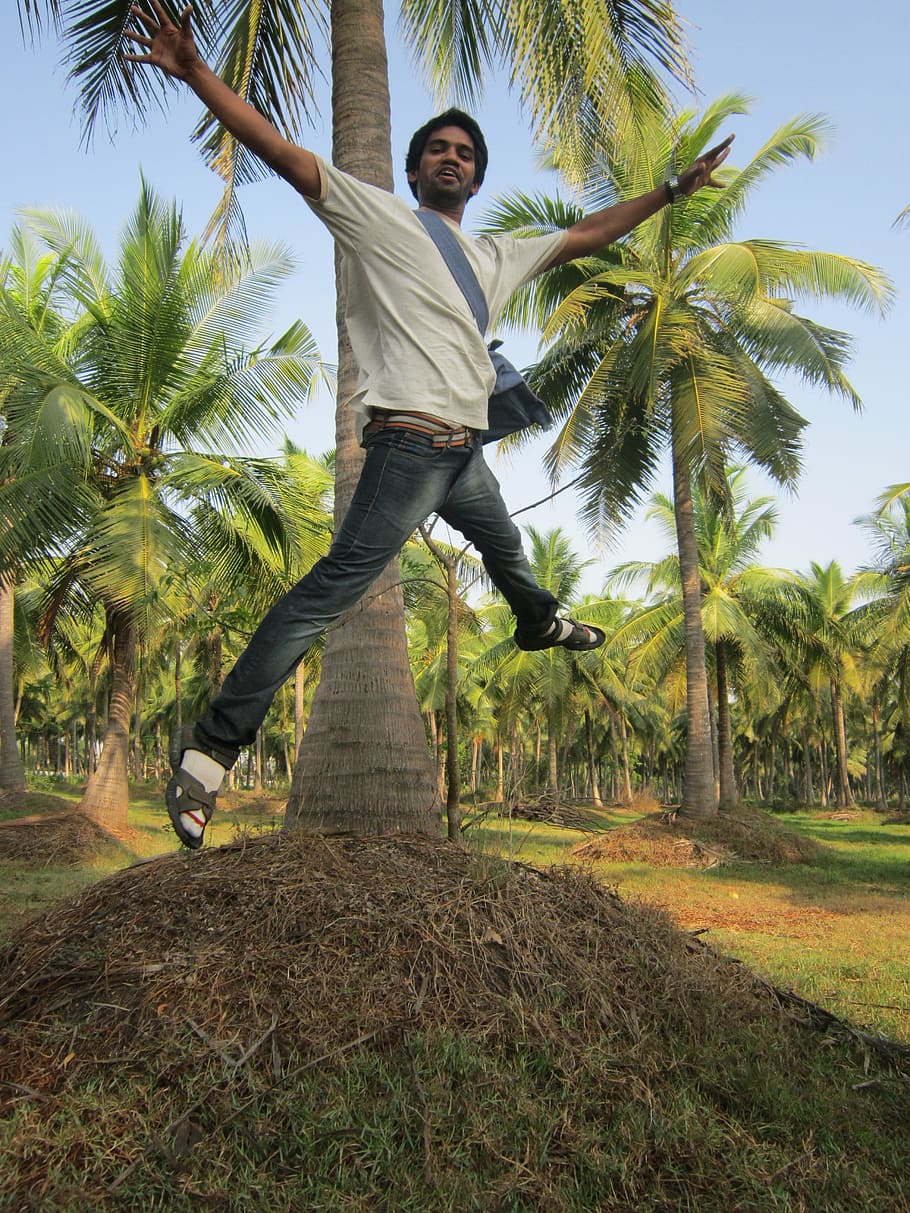 man wearing white crew-neck t-shirt jumping behind palm tree HD wallpaper