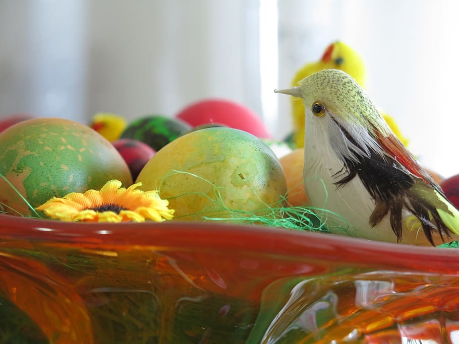 easter, eggs, easter egg, spring, celebration, colorful, season HD wallpaper