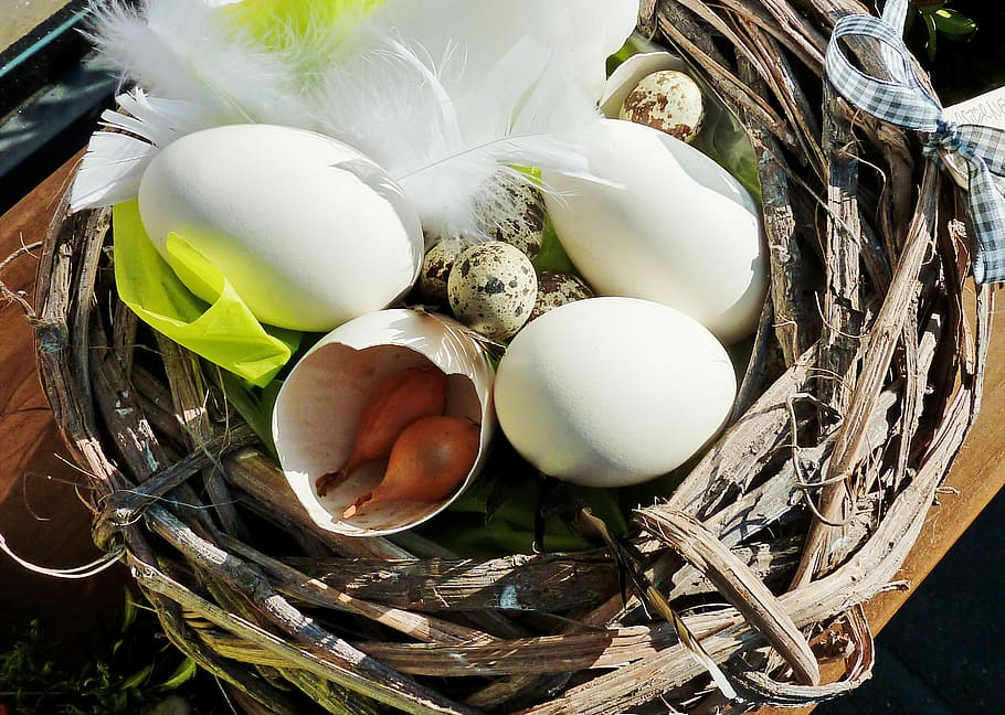easter, easter flower arrangement, egg, egg shells, white eggs HD wallpaper