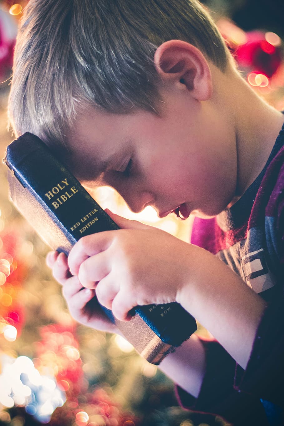boy holding Holy Bible, book, reading, religious, hand, bokeh
