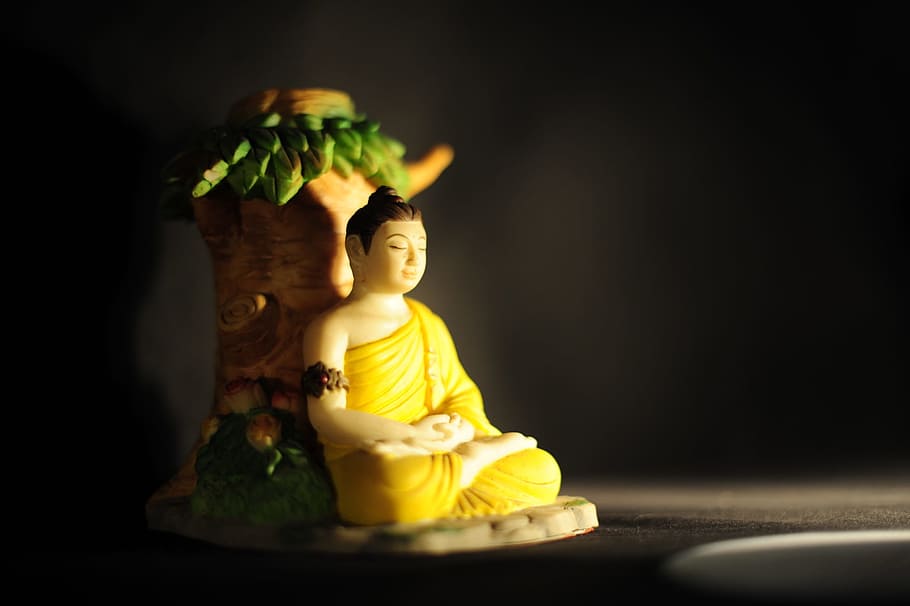 buddha, enlightenment, meditation, wisdom, calm, peaceful, buddhism, HD wallpaper