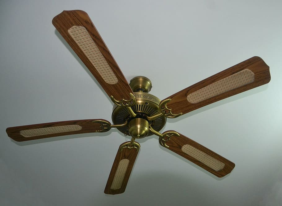 brown 5-blade ceiling fan, whirling, interior, air, home, house, HD wallpaper