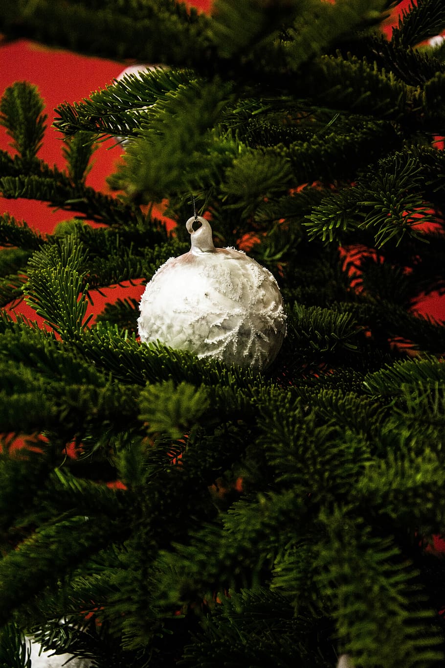 white bauble hanging on green tree, white bauble, christmas tree HD wallpaper