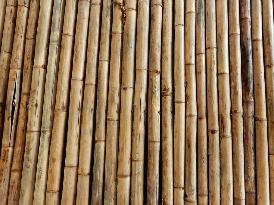Bamboo, Structure, Texture, Rods, bamboo rods, bamboo cane HD wallpaper