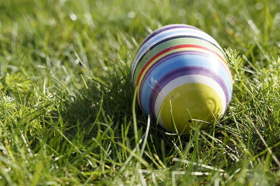 white, blue, and green ball on grass field, easter egg, meadow HD wallpaper