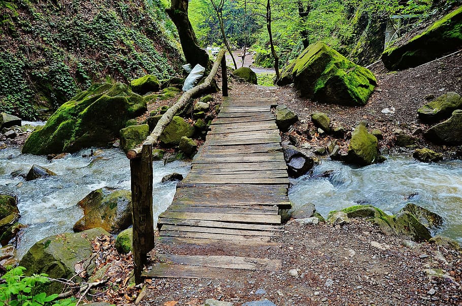 forest, water, steps, landscape, nature, tourism, tropical HD wallpaper