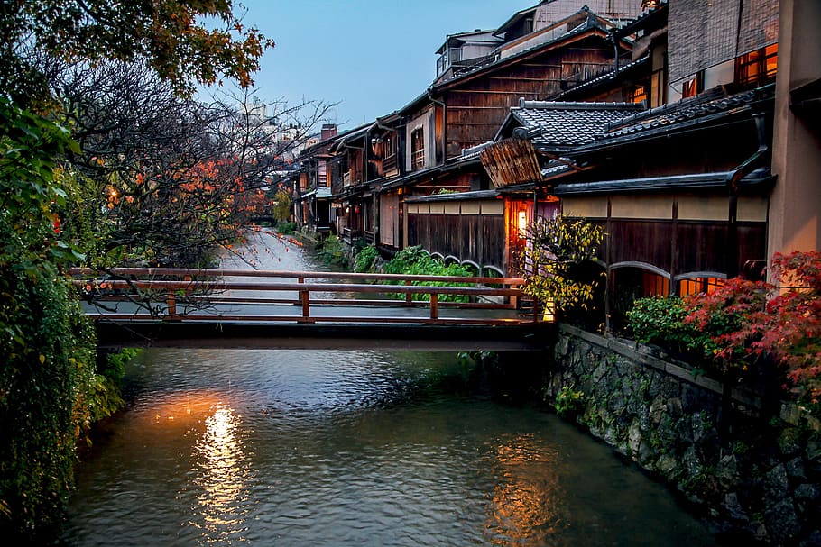 500 Kyoto Pictures HD  Download Free Images on Unsplash