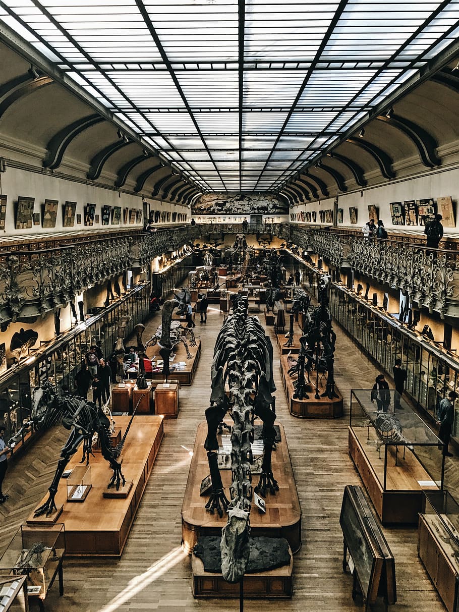 museum interior, architecture, building, structure, establishment HD wallpaper