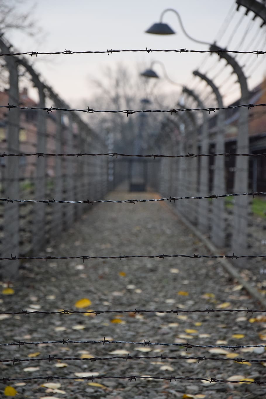 german death camp, auschwitz, history, concentration camp, labour camp