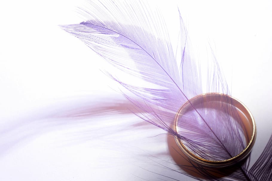 gold-colored ring with pink feather on white surface, band, purple