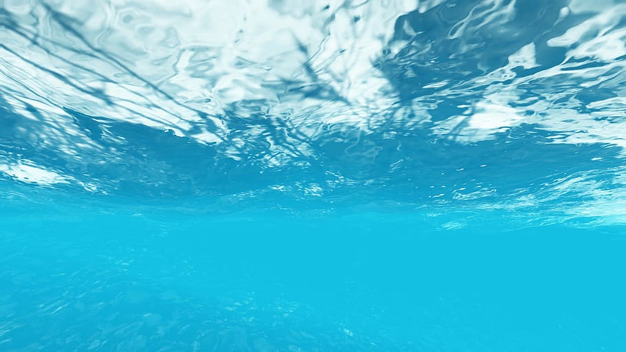 underwater photograph, sea water, blue water, under the sea, watermark, HD wallpaper