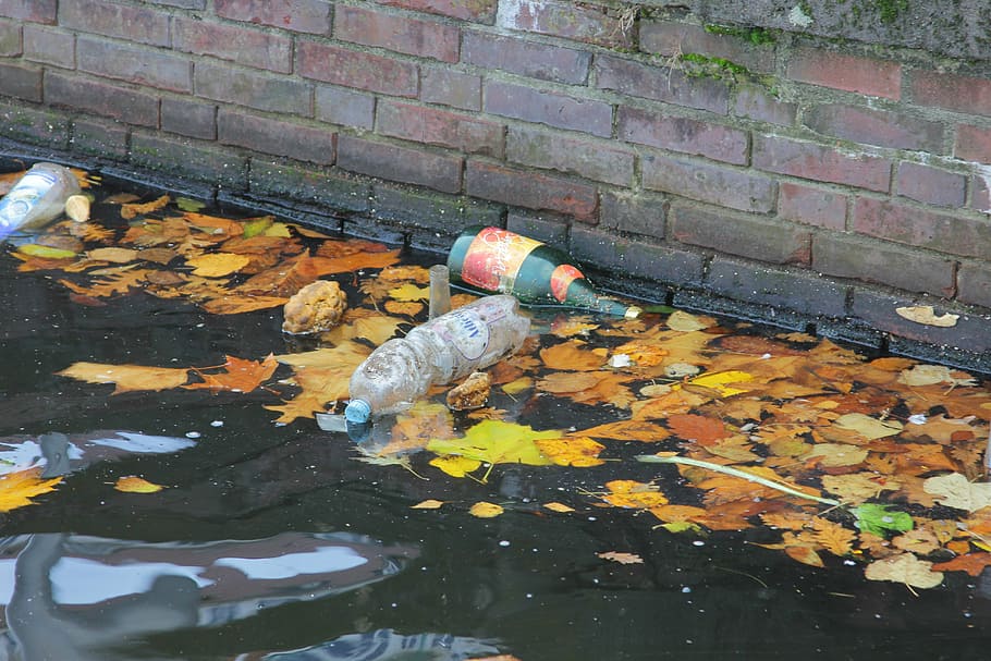 floating bottles on water, garbage, pollution, plastic, waste