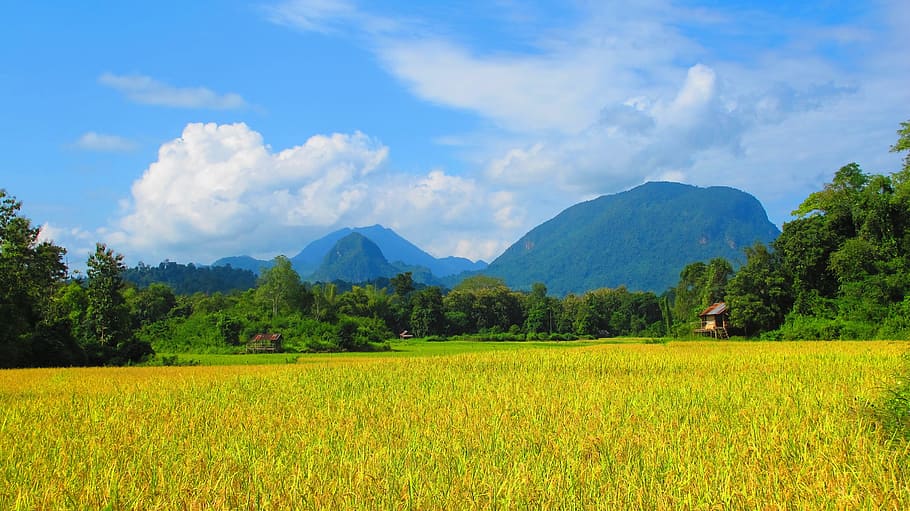 Country Side, Laos, Field, Nature, Farm, landscape, mountain, HD wallpaper