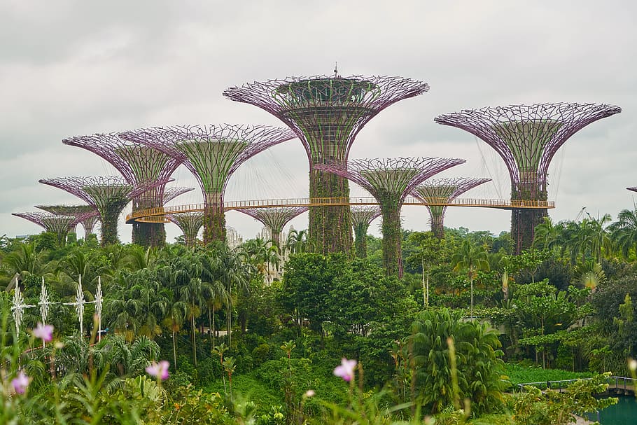 Singapore, Landscape, Color Image, park, garden, trees, asian, HD wallpaper