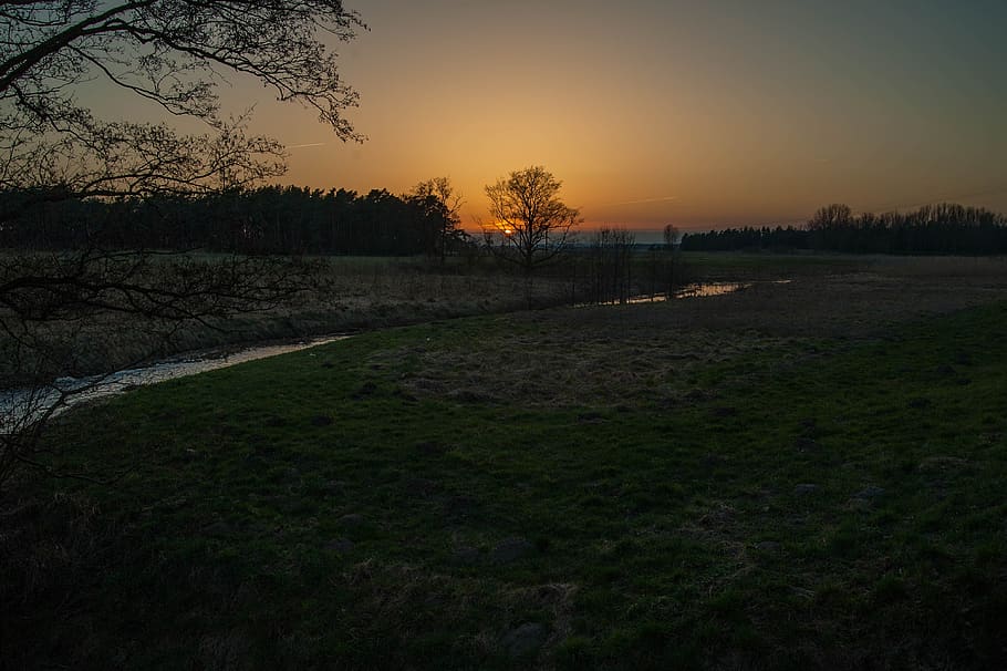 sunset, horizon, evening sky, forest, plant, tranquility, tree HD wallpaper