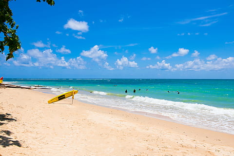 people swimming on sea near shore under white clouds and blue sky during daytime HD wallpaper