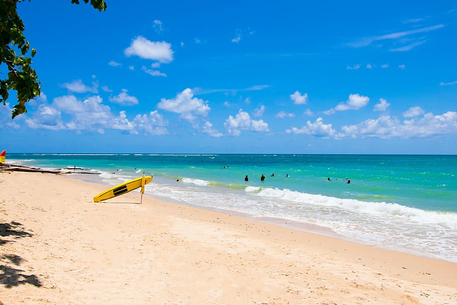 people swimming on sea near shore under white clouds and blue sky during daytime HD wallpaper
