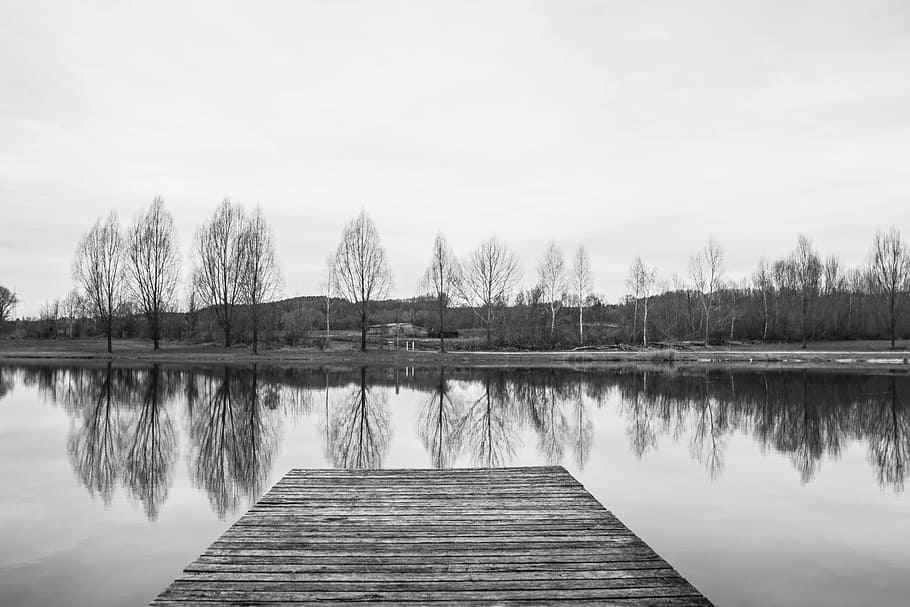 grayscale photo of dock, black white, monochrome, web, lake HD wallpaper