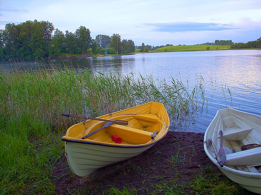 canoe beside green grass near body of water, boats, rowing boat