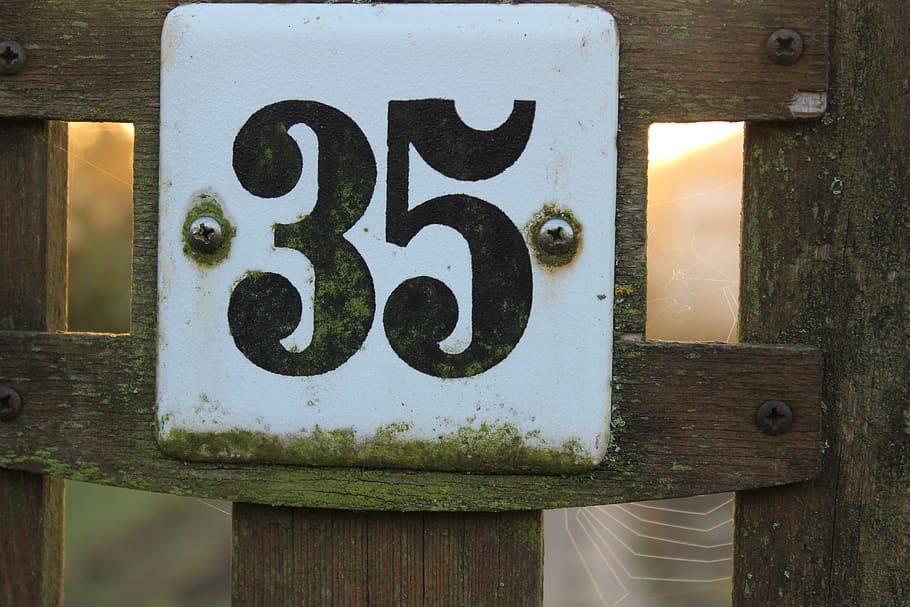 number, 35, enamel sign, screw, shield, wood, spider webs, dew, HD wallpaper