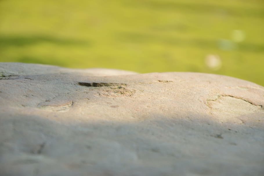 stone, clean background, nature, outdoors, backgrounds, selective focus HD wallpaper