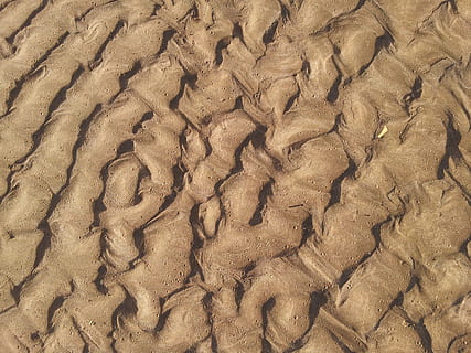 texture, beach, sand, summer, ocean, nature, extinct, fossil HD wallpaper