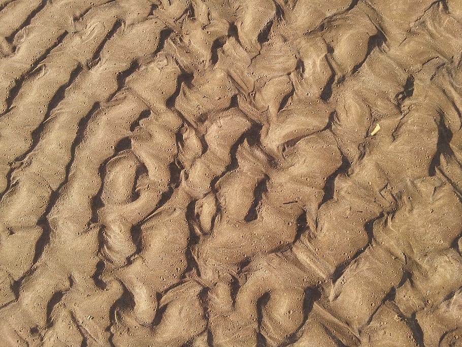 texture, beach, sand, summer, ocean, nature, extinct, fossil HD wallpaper