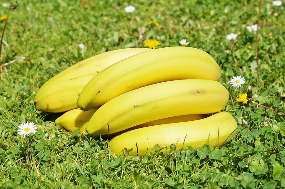 Hd Wallpaper Bananas Fruit Food Yellow Fruits Healthy Nature Vitamins Wallpaper Flare