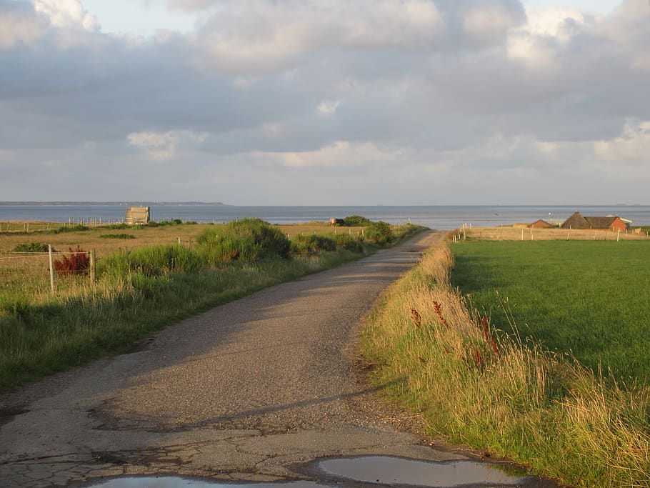 road, beach, sky, grass, plant, cloud - sky, land, transportation HD wallpaper